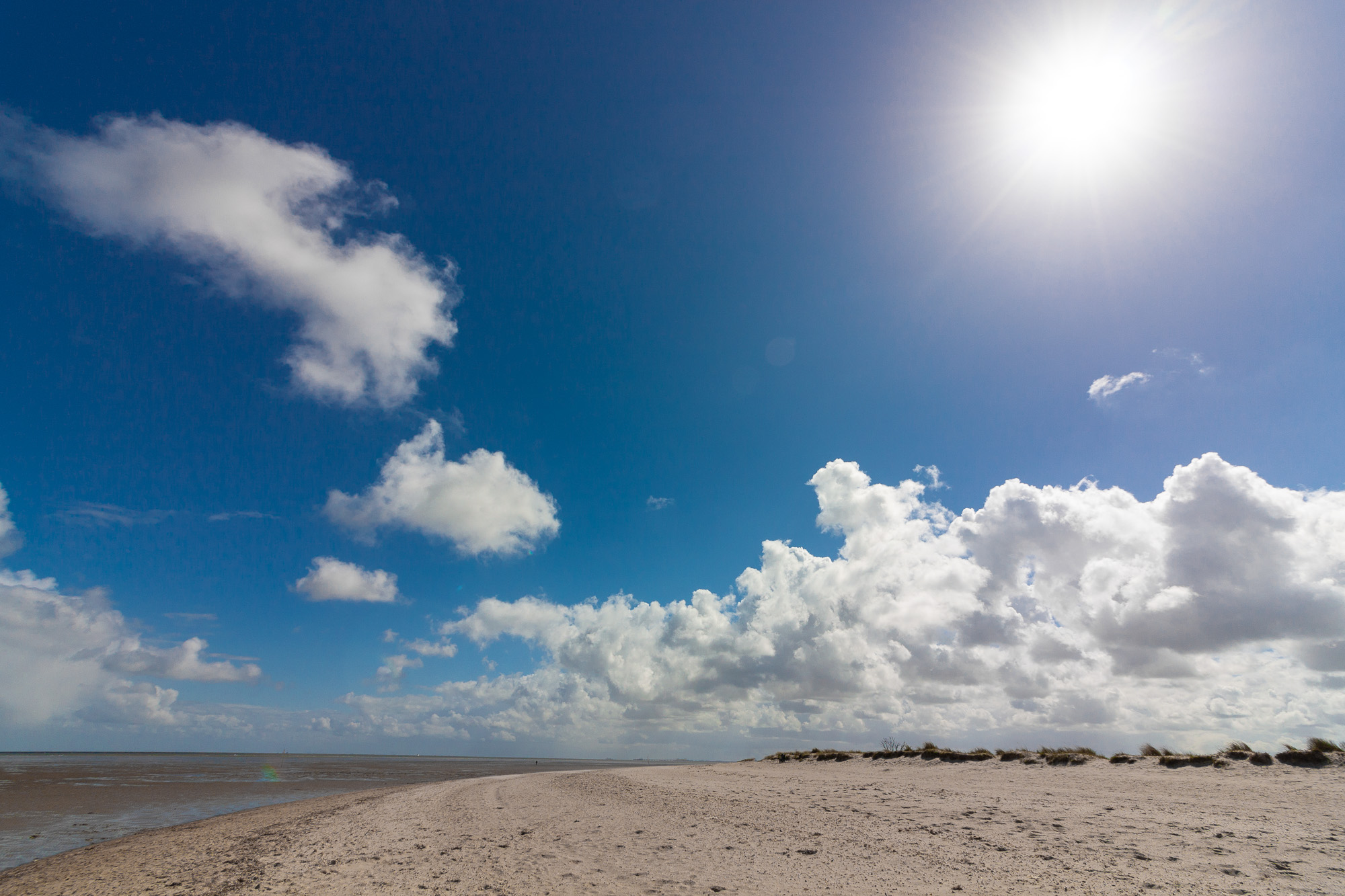 Das DalmanutaPrinzip • Sina Bez • WeltenTor