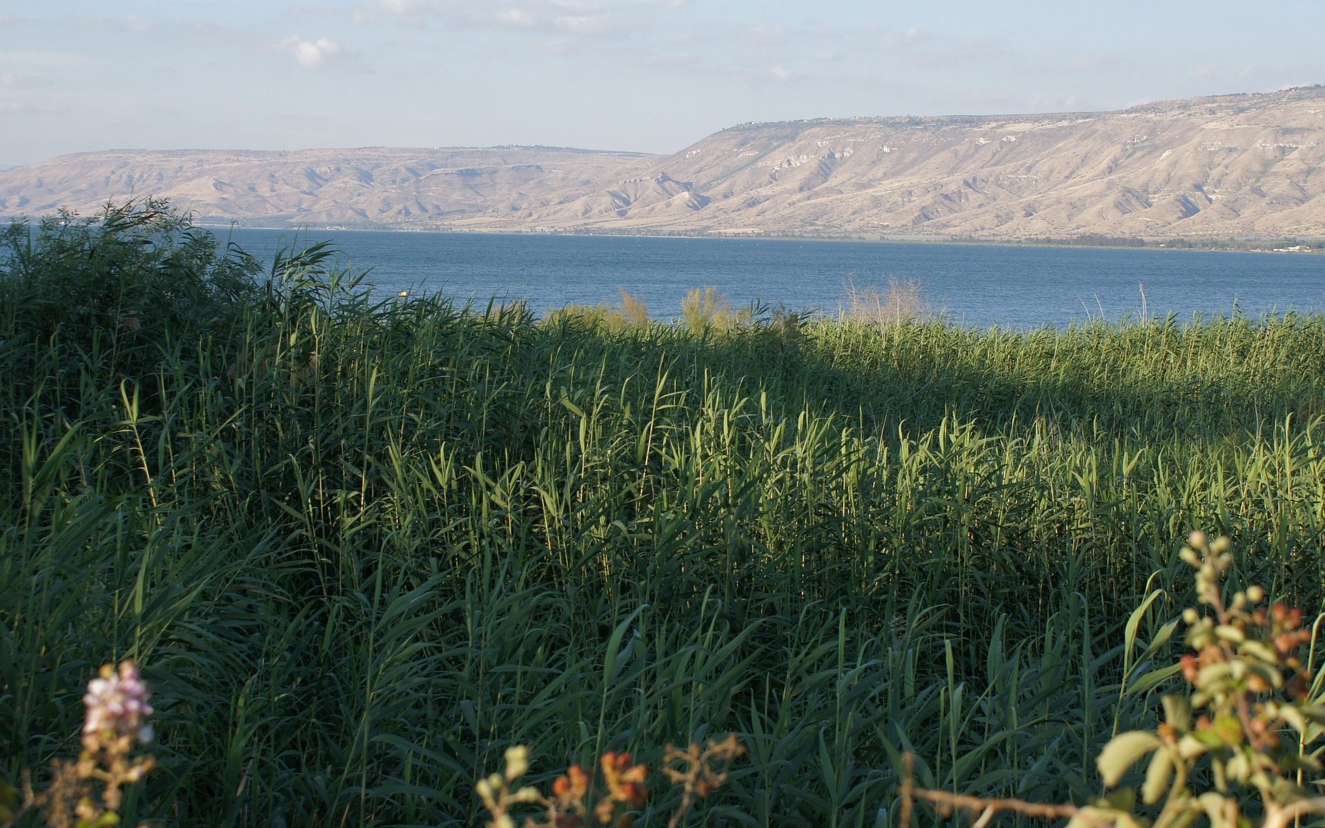 See Genezareth - bei Dalmanuta